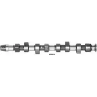 Распредвал WILMINK GROUP WG1051712 EC85 4 4029647 196QW