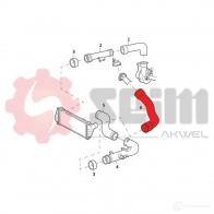 Патрубок интеркулера SEIM 981964 1437803222 ZLII A - Изображение 2