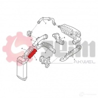 Патрубок интеркулера SEIM AG 77A2 982033 1437802330 - Изображение 3