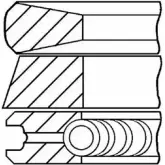 Поршневые кольца, комплект WILMINK GROUP W0Y 2I WG1096254 4041318 3D4P0