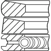 Поршневые кольца, комплект WILMINK GROUP WG1096341 QSQP1 4041393 XNN 2J