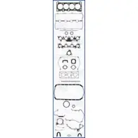 Комплект прокладок, двигатель WILMINK GROUP WG1164567 4061687 S7BJ1 WOQ YYAR