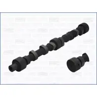 Распредвал WILMINK GROUP WE38M 3F81 LOV WG1170905 4067407