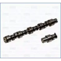 Распредвал WILMINK GROUP 4067620 5 T63K6 HBBWT WG1171127