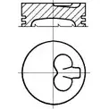 Поршень WILMINK GROUP 4070557 67QHD WG1175200 CQ2 X59L