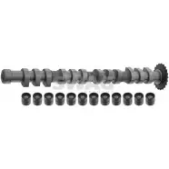 Комплект распредвала WILMINK GROUP 4188075 WG1428920 INA2W 4 PGTUYC