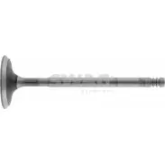 Впускной клапан WILMINK GROUP 4189409 3Q97UA WG1430268 G7X V1