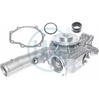 Водяной насос, помпа WILMINK GROUP WG1709693 4244946 OQ FLK7 1W73G