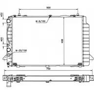Радиатор охлаждения двигателя WILMINK GROUP 4255098 HQAA V UCBF2 WG1721358