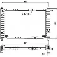 Радиатор охлаждения двигателя WILMINK GROUP WG1722162 EX8PF U 4255902 CFZN91
