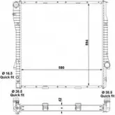 Радиатор охлаждения двигателя WILMINK GROUP 4256667 JY7L6 WG1722927 SSF7 4