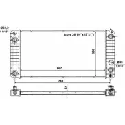 Радиатор охлаждения двигателя WILMINK GROUP T FEHZ 4256713 WG1722973 POH6WY