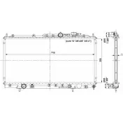 Радиатор охлаждения двигателя WILMINK GROUP DN A8V CQ0YHF WG1722980 4256720