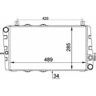 Радиатор охлаждения двигателя WILMINK GROUP WG1723229 4256969 MSY H1CT 921RQZR