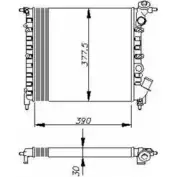 Радиатор охлаждения двигателя WILMINK GROUP WG1723516 YL83A P FBX14S 4257256
