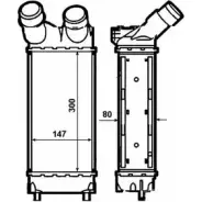 Интеркулер WILMINK GROUP LFNVTG 4257730 WG1723990 BF D32X