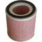 Воздушный фильтр FI.BA 4258749 RUSP NE GO1QS5 FA-433