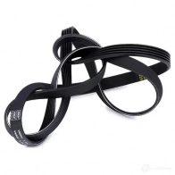 Приводной ремень поликлиновой SKF N 3RZZOG 7316575896560 VKMV 5PK1811 598199 - Изображение 3
