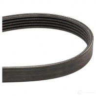 Приводной ремень поликлиновой SKF VKMV 5PK882 598247 7316573396802 TH VCPX - Изображение 4