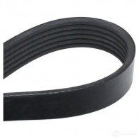 Приводной ремень поликлиновой SKF 598759 I7R GL VKMV 6PK728 7316573397557 - Изображение 4