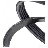 Приводной ремень поликлиновой SKF 7316574559947 598133 VKMV 5PK1150 ZEA UB9 - Изображение 4