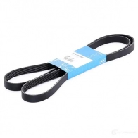 Приводной ремень поликлиновой SKF 598580 VKMV 6PK1800 21 8WC 7316573940111 - Изображение 2