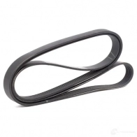 Приводной ремень поликлиновой SKF VKMV 6PK1836 7316573391098 SLH LI 598589 - Изображение 2