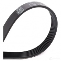 Приводной ремень поликлиновой SKF VKMV 6PK1836 7316573391098 SLH LI 598589 - Изображение 3