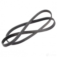 Приводной ремень поликлиновой SKF VKMV 6PK1620 598507 7316573940067 ZX5ED E - Изображение 2