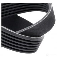 Приводной ремень поликлиновой SKF 7KTHSP R VKMV 6PK1026 7316576892288 598310 - Изображение 4