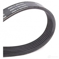 Приводной ремень поликлиновой SKF P DLCSU VKMV 6PK1050 7316573390466 598320 - Изображение 3