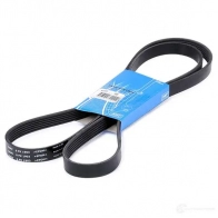 Приводной ремень поликлиновой SKF 7316574722020 VKMV 6PK1903 598616 31M 3G8I - Изображение 2