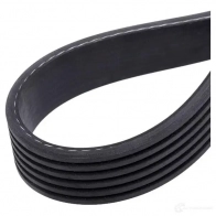 Приводной ремень поликлиновой SKF 7316574722020 VKMV 6PK1903 598616 31M 3G8I - Изображение 4