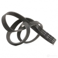 Приводной ремень поликлиновой SKF VKMV 6PK1590 1SN3 3A 598496 7316573390848 - Изображение 3