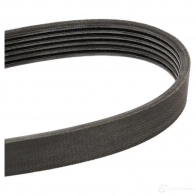 Приводной ремень поликлиновой SKF VKMV 6PK1590 1SN3 3A 598496 7316573390848 - Изображение 4