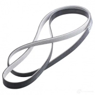 Приводной ремень поликлиновой SKF 7316573939559 VKMV 6PK2196 N8W7ZF M 598688 - Изображение 3