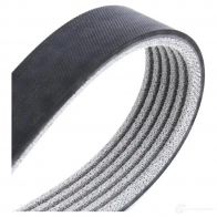 Приводной ремень поликлиновой SKF 7316573939559 VKMV 6PK2196 N8W7ZF M 598688 - Изображение 4