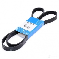 Приводной ремень поликлиновой SKF 598499 Z2OM 9D 7316573390855 VKMV 6PK1600 - Изображение 2
