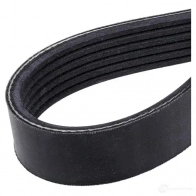 Приводной ремень поликлиновой SKF 598499 Z2OM 9D 7316573390855 VKMV 6PK1600 - Изображение 4