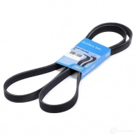 Приводной ремень поликлиновой SKF 598614 P23 462Y 7316573391142 VKMV 6PK1900 - Изображение 2