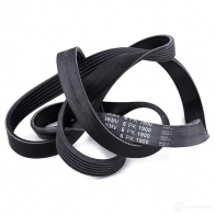 Приводной ремень поликлиновой SKF 598614 P23 462Y 7316573391142 VKMV 6PK1900 - Изображение 3
