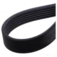 Приводной ремень поликлиновой SKF 598614 P23 462Y 7316573391142 VKMV 6PK1900 - Изображение 4