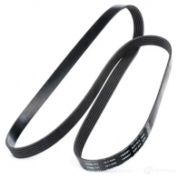 Приводной ремень поликлиновой SKF VKMV 6PK1670 7316574720828 598524 BPPY 1 - Изображение 3
