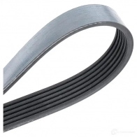 Приводной ремень поликлиновой SKF VKMV 6PK1670 7316574720828 598524 BPPY 1 - Изображение 4