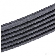 Приводной ремень поликлиновой SKF VKMV 6PK1698 7316574559930 598538 XE6G WO - Изображение 4