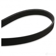 Комплект приводного ремня SKF VKMV 5PK1199 596626 VKMA 36058 VKM 36058 - Изображение 5