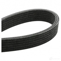 Комплект приводного ремня SKF VKM 31019 596383 VKMA 31001 VKMV 6DK1195 - Изображение 4