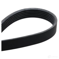 Комплект приводного ремня SKF 596406 VKMA 31084 VKM 31008 VKM 31058 - Изображение 6