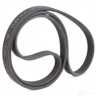 Комплект приводного ремня SKF 596656 VKMA 36226 VKMV 6DK1841 VKM 36240 - Изображение 6