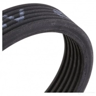 Комплект приводного ремня SKF 596656 VKMA 36226 VKMV 6DK1841 VKM 36240 - Изображение 7
